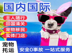 玉树巴塘机场物流国际宠物托运 【国
